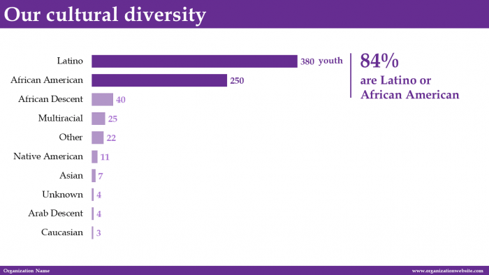 Sample streamlined graphic depicting an organization's cultural diversity among staff members