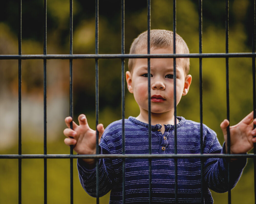 Young boy stands holding a fence and looking at the other side