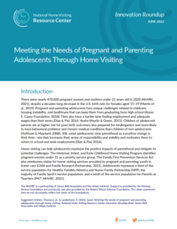 Cover of Pregnant Parenting Adolescents